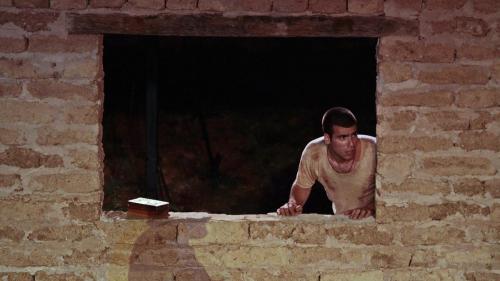Το καλοκαίρι θα θερίσουμε, 2014 (18)